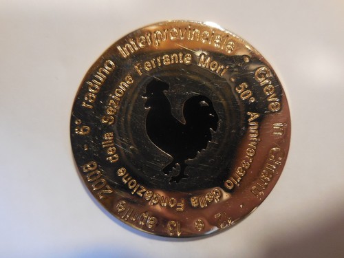 Medaglia raduno bersaglieri - medaglia, 6