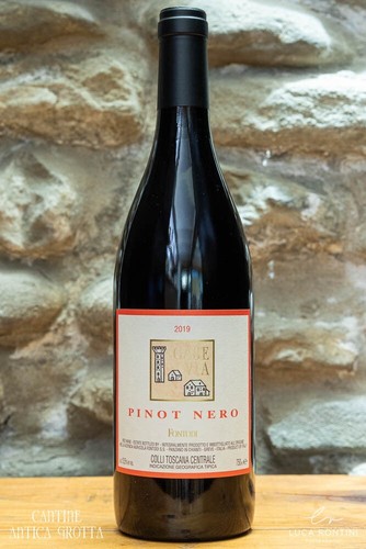 Case via pinot nero - 2019, colli